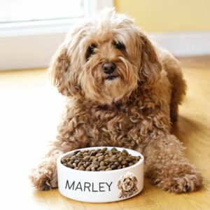 Personalized Dog Bowl Using Pet Photo and Name