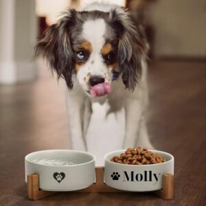 Elevated Ceramic Pet Bowl Set with Bamboo Stand – Comfort, Personalized & Stability in One