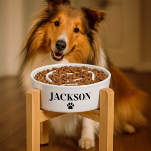 Elevated Slow Feeder Dog Bowl - Raised Ceramic Dog Bowl with Anti-Slip Stand- Personalized with Pet's Name