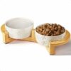 Elevated ceramic dog bowls