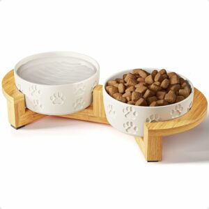 Elevated ceramic dog bowls