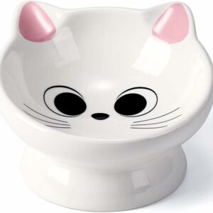 Tilted ceramic pet bowl