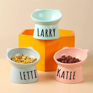 Tilted Ceramic Pet Bowl – Personalized, Anti-Vomit, Whisker-Friendly Design for Easy Feeding