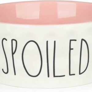 dog bowl