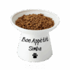 Elevated ceramic cat bowl