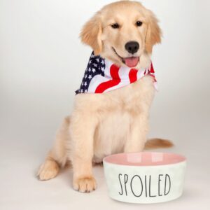 Ceramic Dog Bowl-Heavy Duty Non-Slip Dog Dish -Personalized with Dog’s Name