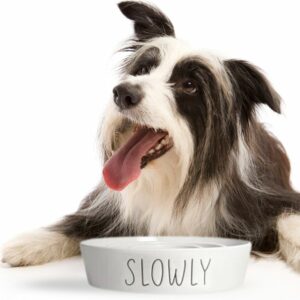 Personalized Ceramic Slow Feeder Dog Bowl – Custom with Pet’s Name - Non-Slip & Vet-Recommended