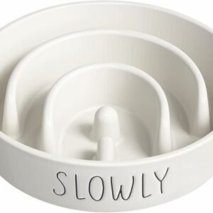 slow feeder dog bowl