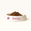 cat bowls whisker friendly