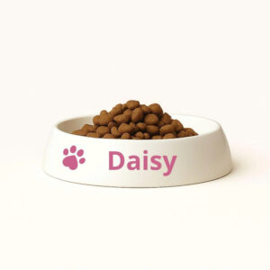 cat bowls whisker friendly